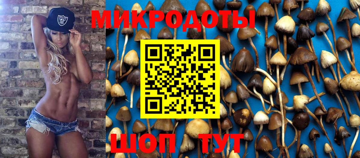 Псилоцибиновые грибы GOLDEN TEACHER Пугачёв