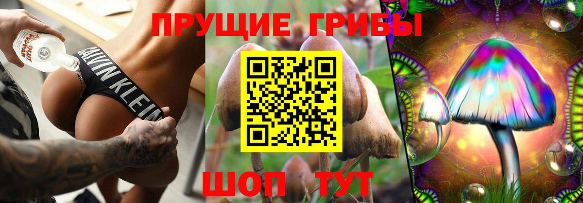 Пугачёв  Псилоцибиновые грибы MAGIC MUSHROOMS  Вход с VPN 